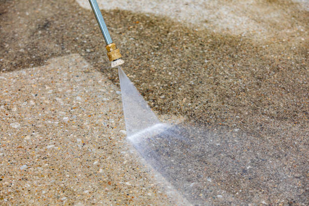 Best House Exterior Washing  in French Mp, CA